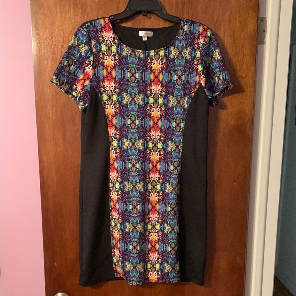 Multicolor Dress with Black Panels